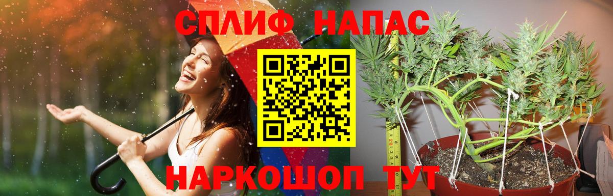 Тосно  Конопля ГИДРОПОН  Конопля семена  Вход с VPN  Шишки марихуана White Widow 